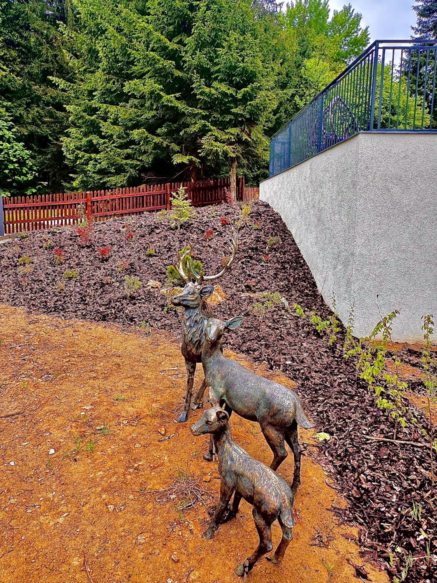 Paseky Apartments Resort Nove Mesto na Morave Exterior foto